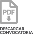 Botón descargar convocatoria